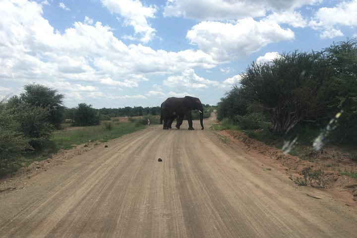 Pilanesberg Safari Day Tour - Photo 1 of 7